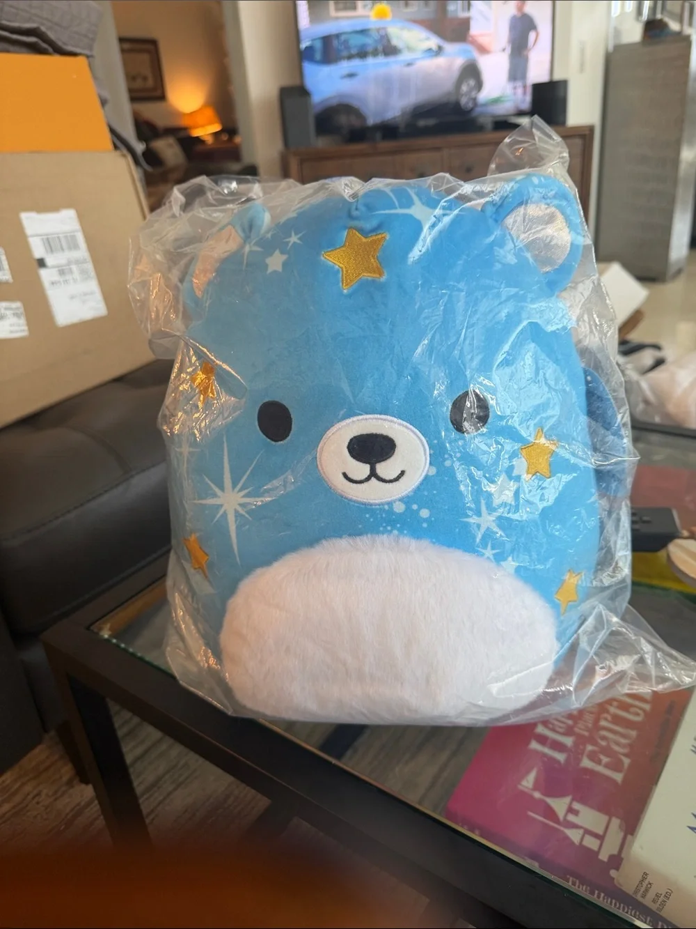 Squishmallows Blue Star Bear Plush